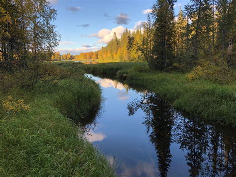 Pasolanvuoren luontopolku, Vääksy • Luontopolut ja teemareitit ...